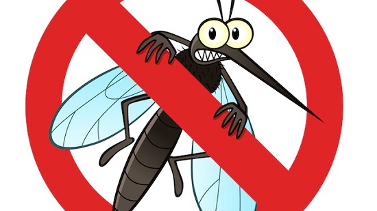 Những lưu ý khi sử dụng đèn bắt muỗi